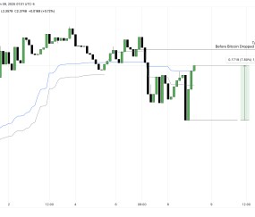 XRP突遭安全漏洞，流失高达28.55万美元
