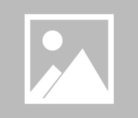 包含币安币空投即将开始，参与用户将获Polkadot枚代币的词条-九游体育官方网站