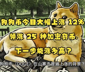 SEC创下年内新高，上扬幅高达狗狗币%，还能追吗？-九游体育APP下载