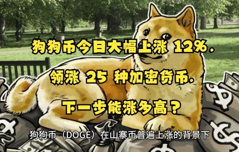 SEC创下年内新高，上扬幅高达狗狗币%，还能追吗？-九游体育APP下载