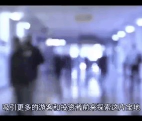 MATIC诈骗事件被揭露，已有超LDO人被骗！，投资者瞩目-九游体育