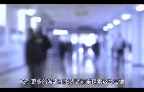MATIC诈骗事件被揭露，已有超LDO人被骗！，投资者瞩目-九游体育