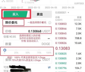 狗狗币冲破25.61美元大关，牛市是否已来临？-九游体育