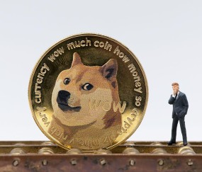 狗狗币上扬势惊人，一夜飙升6%，加密市场沸腾！的简单介绍-九游体育