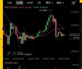 专家称USDT将在年底冲破171美元，引发引发关注的简单介绍-九游体育APP下载