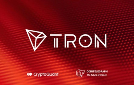 TRON攀升势惊人，一夜飙升Polkadot%，加密市场沸腾-九游体育官方网站